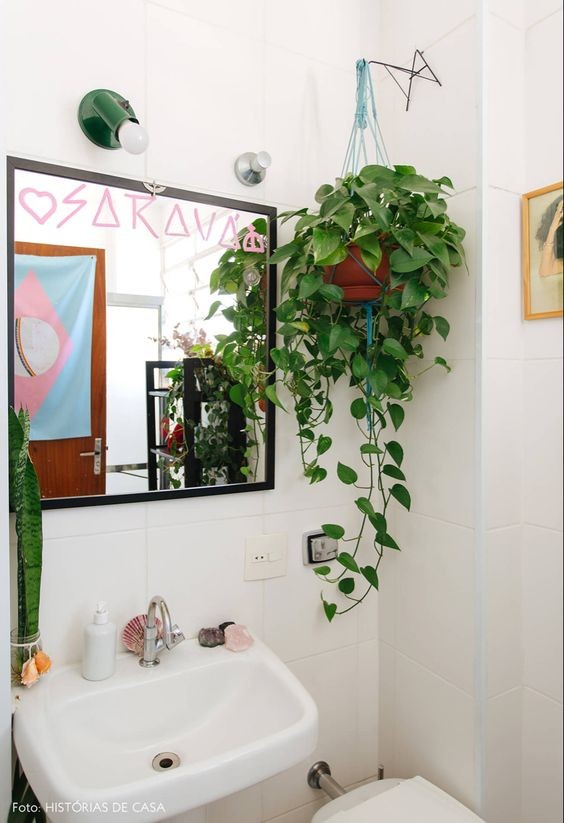 16 idées pour accrocher des plantes dans votre salle de bain 1