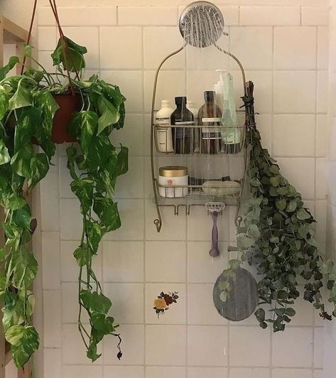 16 idées pour accrocher des plantes dans votre salle de bain 2