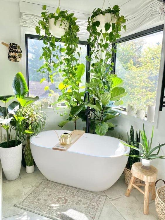 16 idées pour accrocher des plantes dans votre salle de bain 4