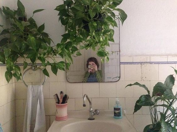16 idées pour accrocher des plantes dans votre salle de bain 7