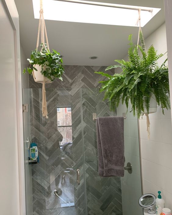 16 idées pour accrocher des plantes dans votre salle de bain 8