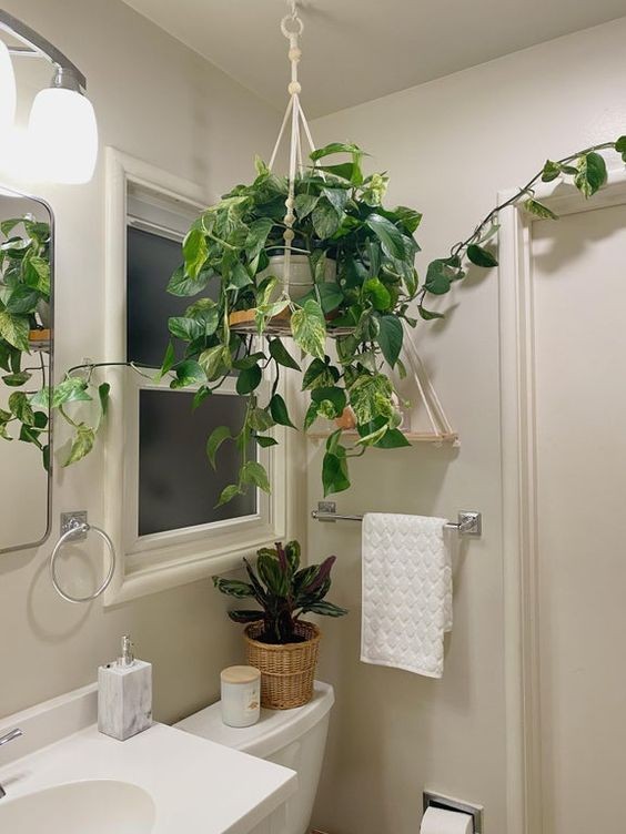 16 idées pour accrocher des plantes dans votre salle de bain 10
