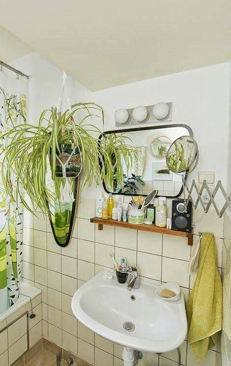 16 idées pour accrocher des plantes dans votre salle de bain 11