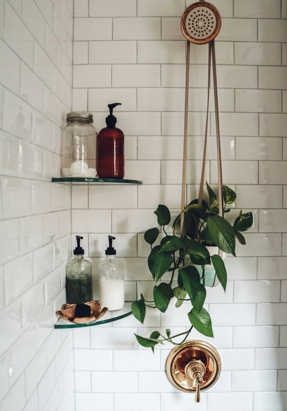 16 idées pour accrocher des plantes dans votre salle de bain 12