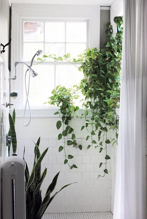 16 idées pour accrocher des plantes dans votre salle de bain 14