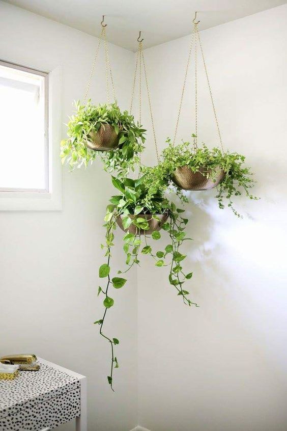 16 idées pour accrocher des plantes dans votre salle de bain 15