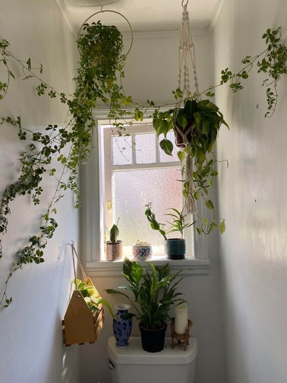 16 idées pour accrocher des plantes dans votre salle de bain 16