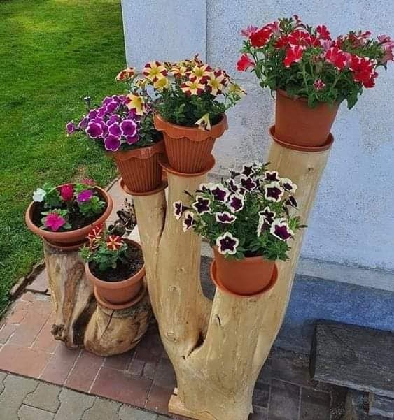 10 idées à faire avec des souches d'arbres 1 10 idées à faire avec des souches d'arbres 1