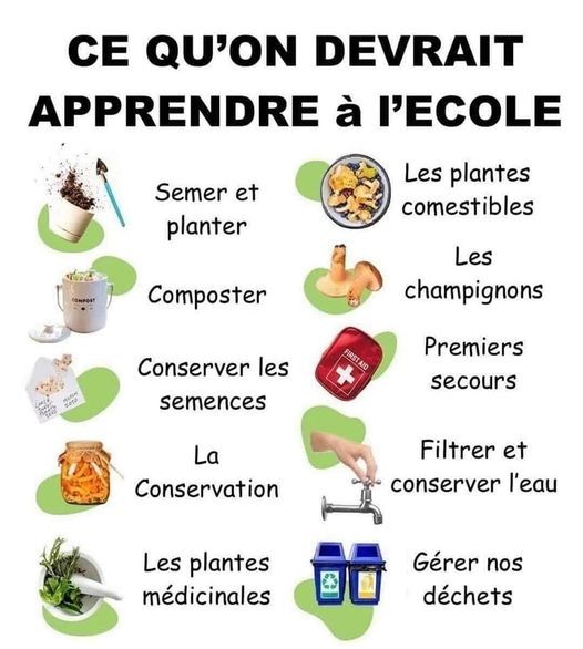 10 Choses que l'ont devrait apprendre à l'école 1 10 Choses que l'ont devrait apprendre à l'école 1