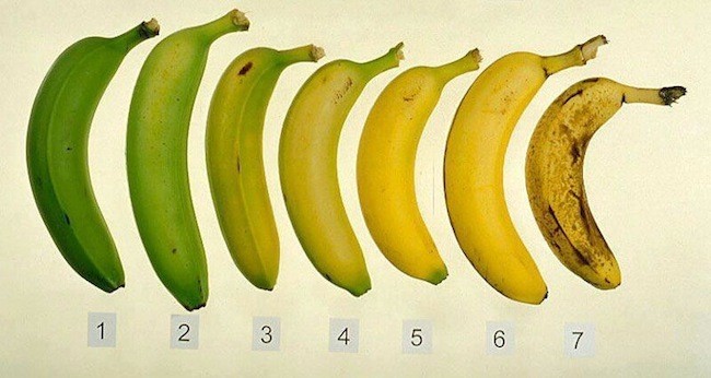 17 Astuces pour Conserver vos Fruits et Légumes Frais Plus Longtemps 7 17 Astuces pour Conserver vos Fruits et Légumes Frais Plus Longtemps 7