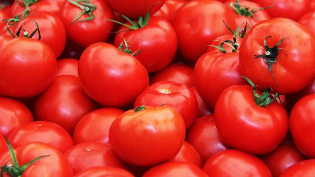 17 Astuces pour Conserver vos Fruits et Légumes Frais Plus Longtemps 5 17 Astuces pour Conserver vos Fruits et Légumes Frais Plus Longtemps 5