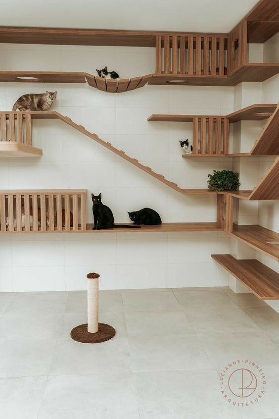 17 idées géniales pour les amoureux des chats 3 17 idées géniales pour les amoureux des chats 3