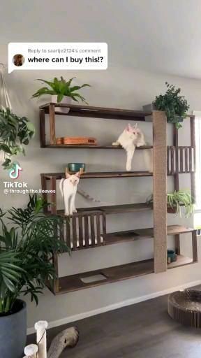 17 idées géniales pour les amoureux des chats 6 17 idées géniales pour les amoureux des chats 6