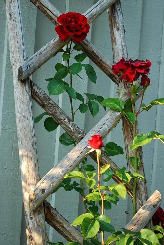24 idées de jardinières en bois à faire soi-même 11 24 idées de jardinières en bois à faire soi-même 11