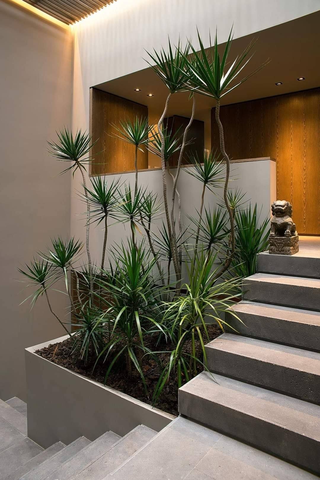 23 idées pour le jardin d'intérieur 13 23 idées pour le jardin d'intérieur 13