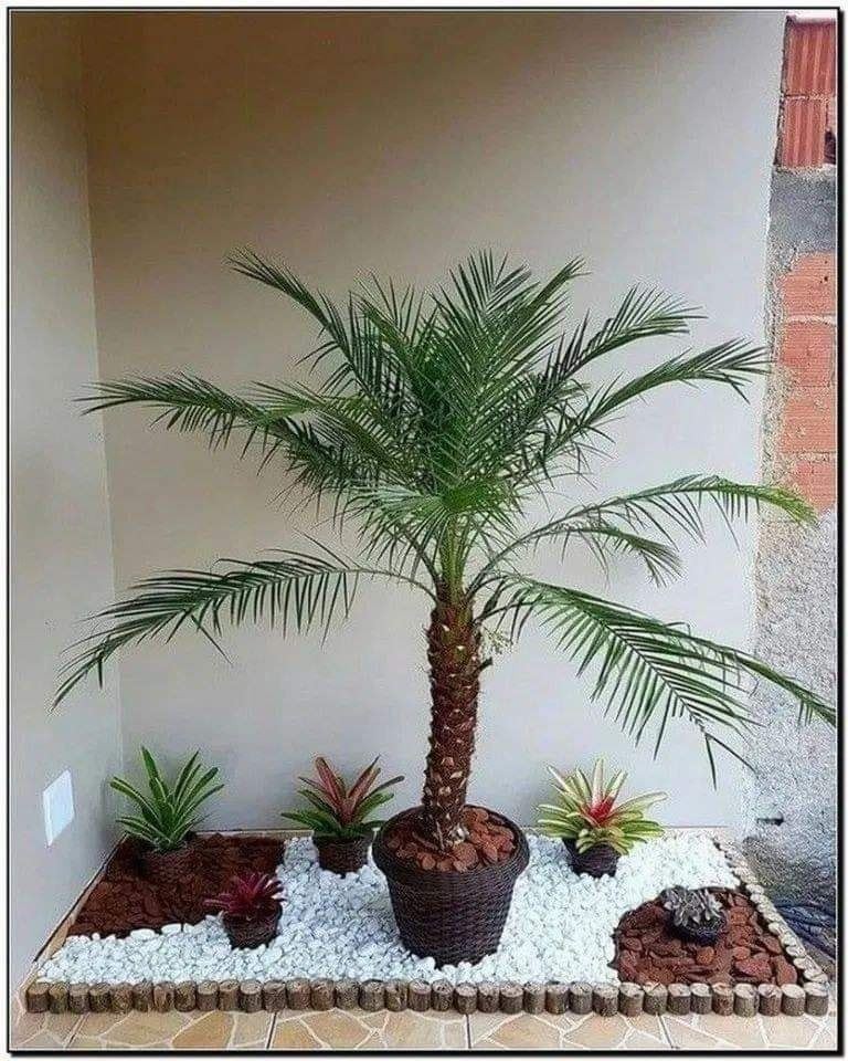 23 idées pour le jardin d'intérieur 10 23 idées pour le jardin d'intérieur 10