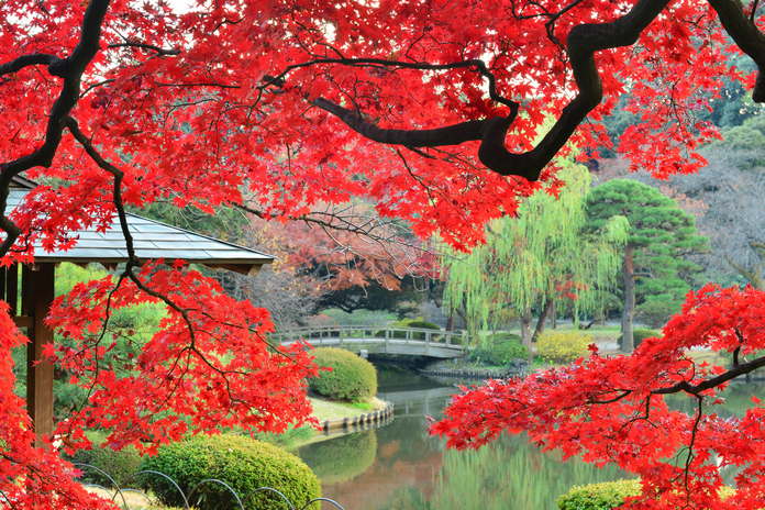 Les 10 plus beaux jardins du monde 10 Les 10 plus beaux jardins du monde 10