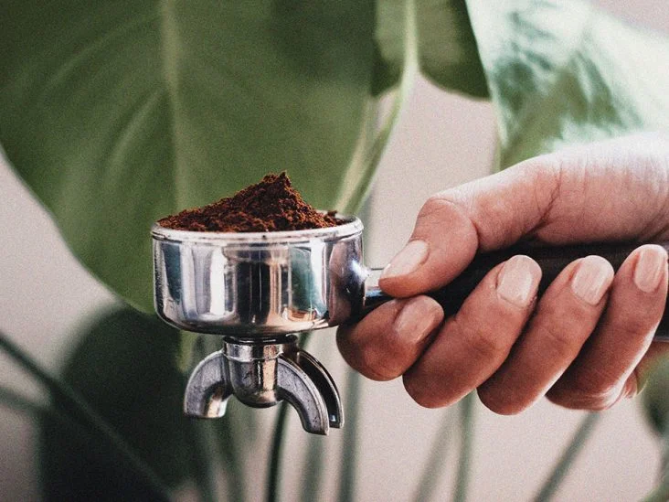 Le Marc de Café : Un Engrais Naturel et Économique pour Vos Plantes ? 2 Le Marc de Café : Un Engrais Naturel et Économique pour Vos Plantes ? 2