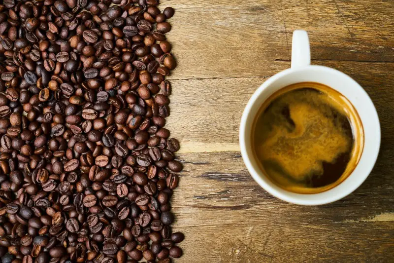 Le Marc de Café : Un Engrais Naturel et Économique pour Vos Plantes ? 4 Le Marc de Café : Un Engrais Naturel et Économique pour Vos Plantes ? 4