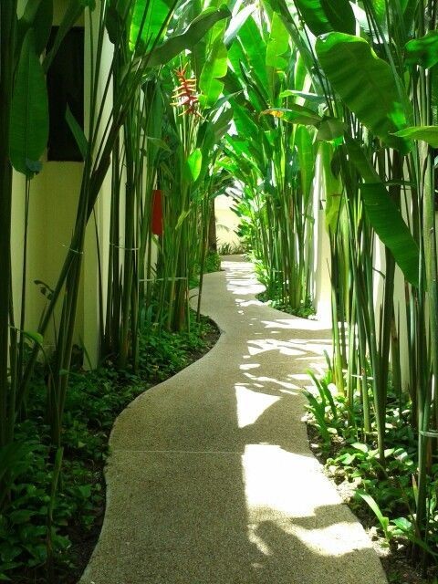 16 idées pour aménager son allée de jardin 2 16 idées pour aménager son allée de jardin 2