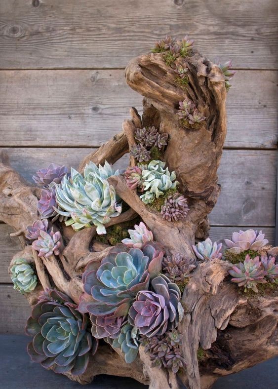 Déco de jardin en bois flotté : 23 idées à adopter 15 Déco de jardin en bois flotté : 23 idées à adopter 15