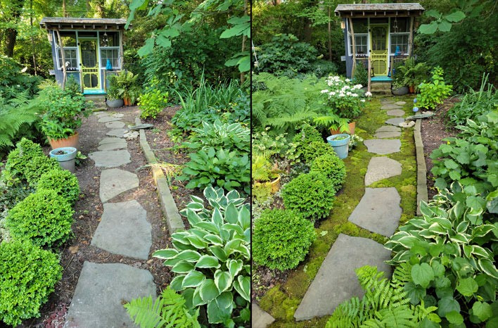 3 recettes naturelles pour enlever la mousse du jardin 1 3 recettes naturelles pour enlever la mousse du jardin 1