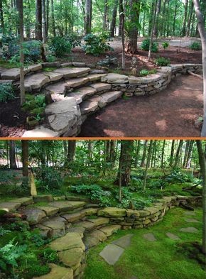 3 recettes naturelles pour enlever la mousse du jardin 2 3 recettes naturelles pour enlever la mousse du jardin 2