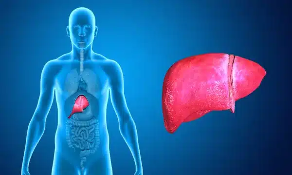 9 signes qui montrent que votre foie est malade 3 9 signes qui montrent que votre foie est malade 3