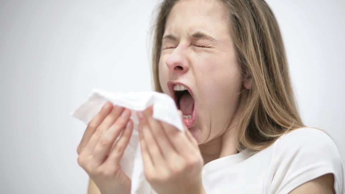 Éternuement Signification : Quelle est la Cause ? 1 Éternuement Signification : Quelle est la Cause ? 1