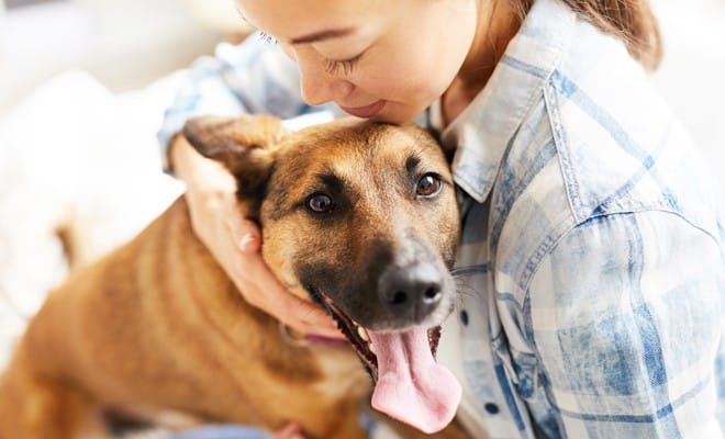 23 Prénoms de Chien Femelle En T Originaux En 2023 4 23 Prénoms de Chien Femelle En T Originaux En 2023 4