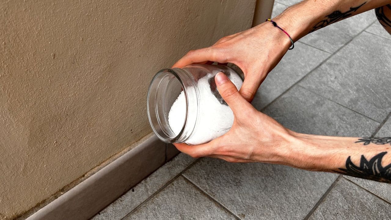 Balcon sans fourmis : astuces naturelles pour une paix retrouvée ! 1 Balcon sans fourmis : astuces naturelles pour une paix retrouvée ! 1