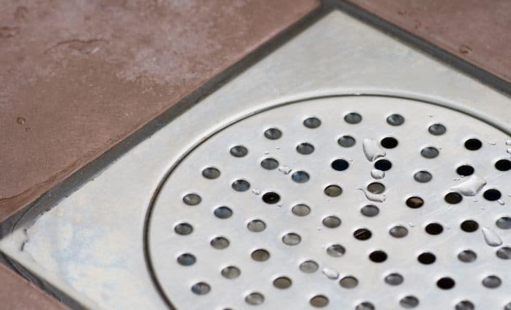 Adieu les mauvaises odeurs de la douche avec la méthode des feuilles : résolvez le problème immédiatement 2