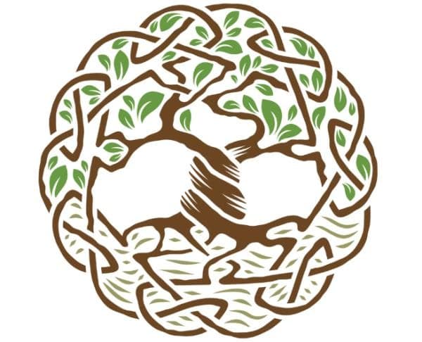 Arbre : La Vraie Signification Spirituelle & Les interprétations possibles 5 Arbre : La Vraie Signification Spirituelle & Les interprétations possibles 5