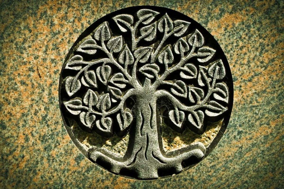 Arbre : La Vraie Signification Spirituelle & Les interprétations possibles 1 Arbre : La Vraie Signification Spirituelle & Les interprétations possibles 1
