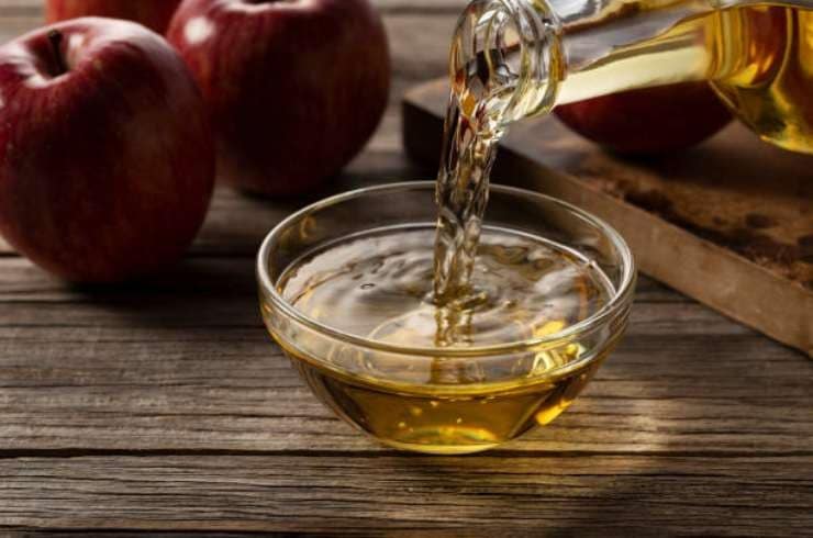 Pièges à mouches maison : Astuces infaillibles pour une maison sans mouches 12 Pièges à mouches maison : Astuces infaillibles pour une maison sans mouches 12