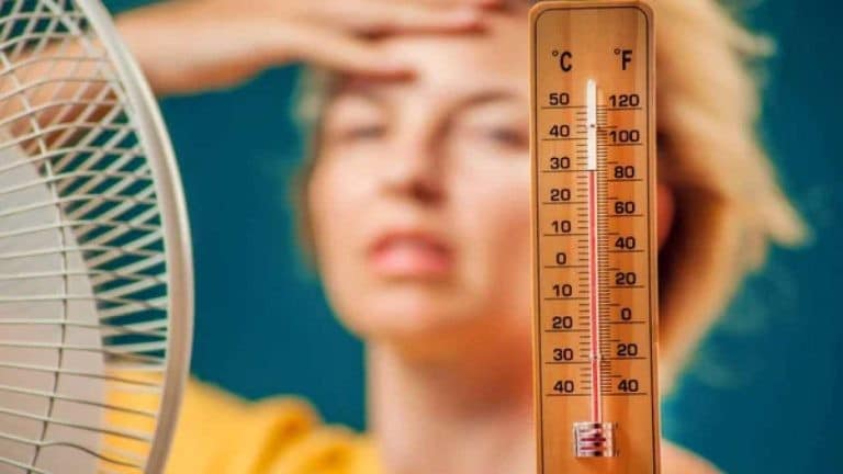 Canicule en Été : Techniques Anciennes et Modernes pour Combattre la Chaleur 2 Canicule en Été : Techniques Anciennes et Modernes pour Combattre la Chaleur 2