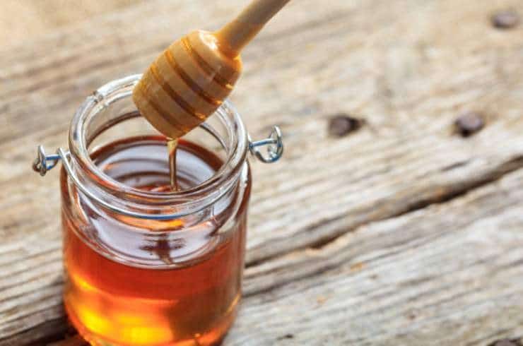 Piège à moustiques - Créez le vôtre et dites adieu aux nuisibles ! 3
