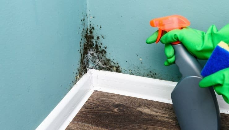 La moisissure dans la maison, où se forme-t-elle ? Vérifiez tous ces points que vous ignorez toujours 2