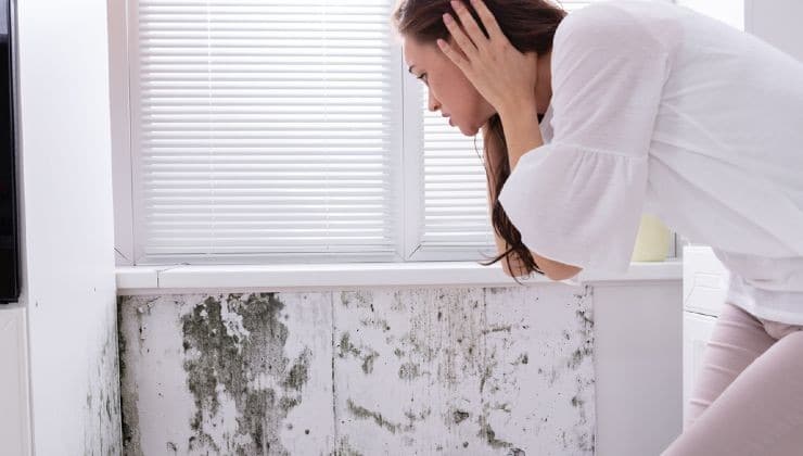 La moisissure dans la maison, où se forme-t-elle ? Vérifiez tous ces points que vous ignorez toujours 1 La moisissure dans la maison, où se forme-t-elle ? Vérifiez tous ces points que vous ignorez toujours 1