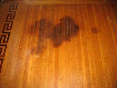 Taches de Javel sur le parquet : 14 Méthodes pour les retirer 2 Taches de Javel sur le parquet : 14 Méthodes pour les retirer 2