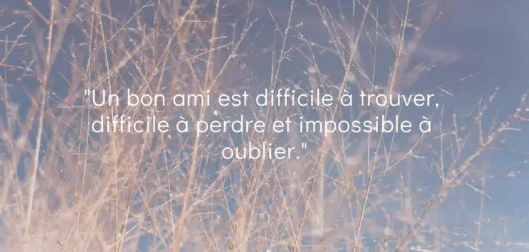 Texte Pour Sa Meilleure Amie : 100 SMS & Phrases Exemplaires 9