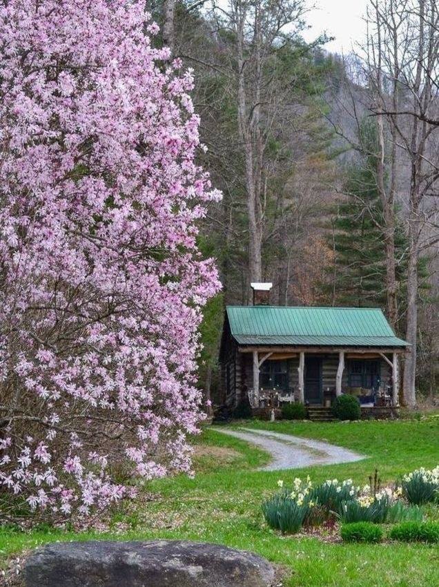 Tiny House : 82 conceptions créatives de petites maisons 54 Tiny House : 82 conceptions créatives de petites maisons 54