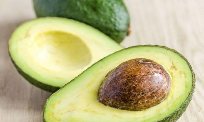 Cultiver Un Avocat Chez Soi à partir d’une graine Pour En Avoir à l'Infini ! 8 Cultiver Un Avocat Chez Soi à partir d’une graine Pour En Avoir à l'Infini ! 8