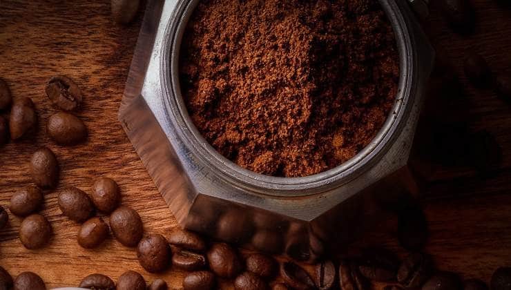 Repoussez Naturellement les Insectes d'Été avec Café et Clous de Girofle 3 Repoussez Naturellement les Insectes d'Été avec Café et Clous de Girofle 3