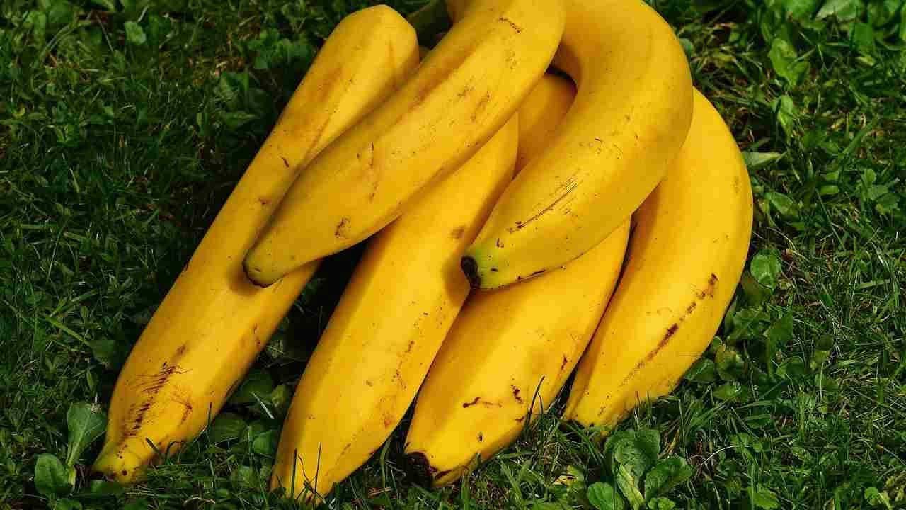 La Banane: un engrais miracle pour votre jardin 3