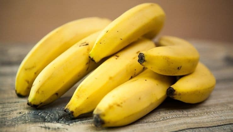 La Banane: un engrais miracle pour votre jardin 4