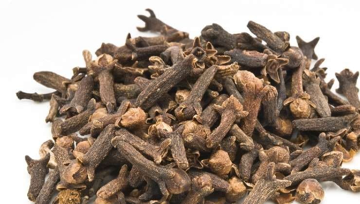 Parfumeur Maison : Transformer l’odeur de votre demeure avec 2 ingrédients magiques 2 Parfumeur Maison : Transformer l’odeur de votre demeure avec 2 ingrédients magiques 2