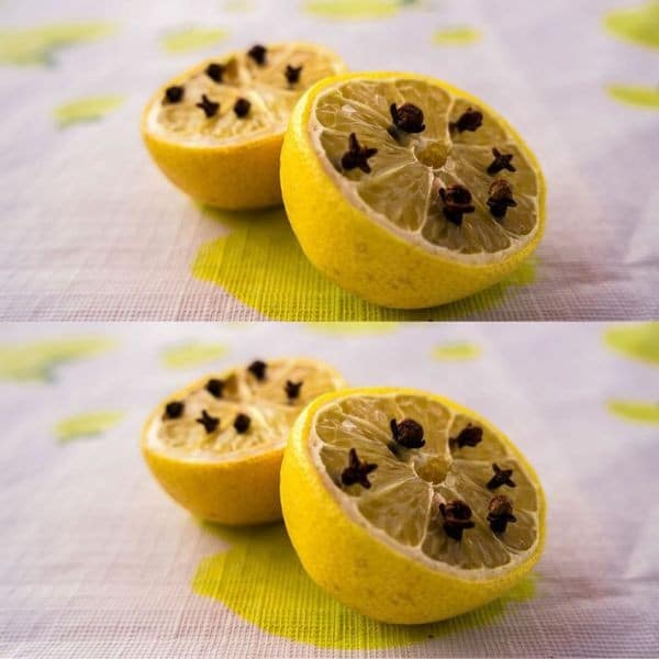 L'Astuce Ultime pour éliminer les Mouches naturellement 1 L'Astuce Ultime pour éliminer les Mouches naturellement 1