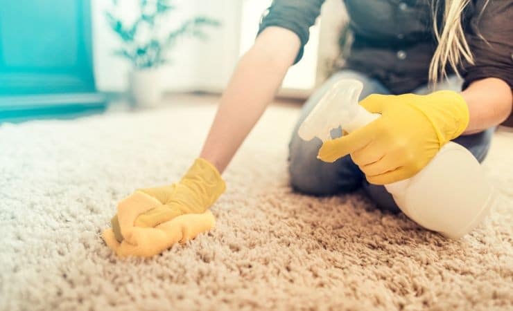 Taches d'urine de chien sur moquette, voici comment les enlever en quelques étapes 3 Taches d'urine de chien sur moquette, voici comment les enlever en quelques étapes 3