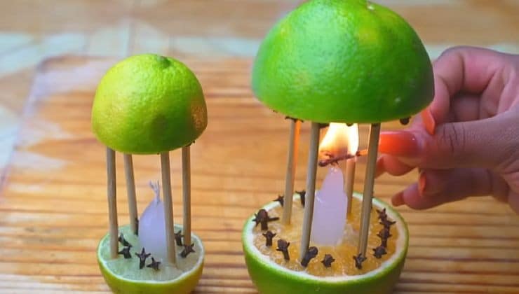 Un remède maison pour repousser les moustiques et parfumer votre intérieur 4 Un remède maison pour repousser les moustiques et parfumer votre intérieur 4